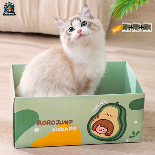 GlobHarb Cat Scratcher with Box, Reversible Cat Scratchers for Indoor Cats, Cardboard Cat Scratcher with Catnip, Box enclosure with cat scratcher mat and catnip