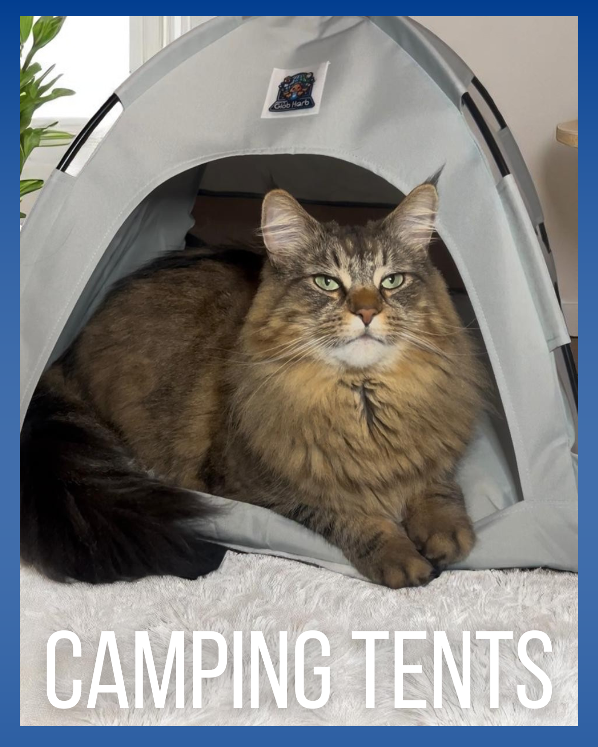 CAMPING TENTS