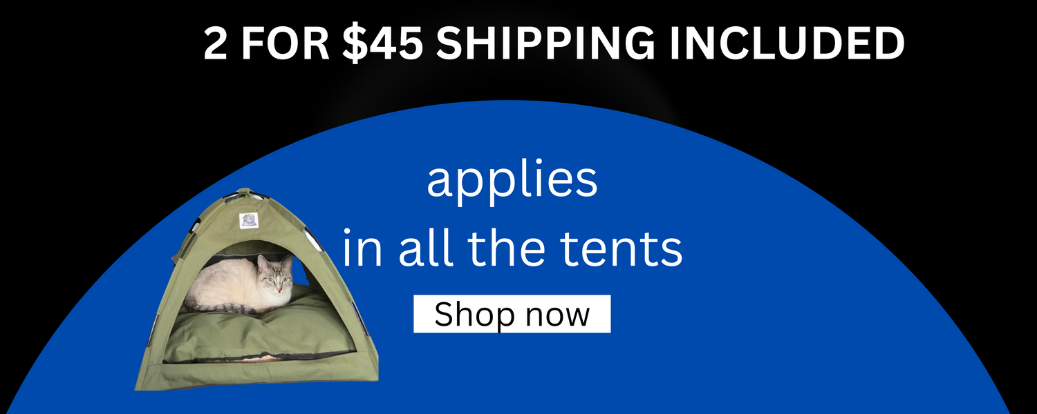 GET 2 FOR $45 + FREE SHIPPING