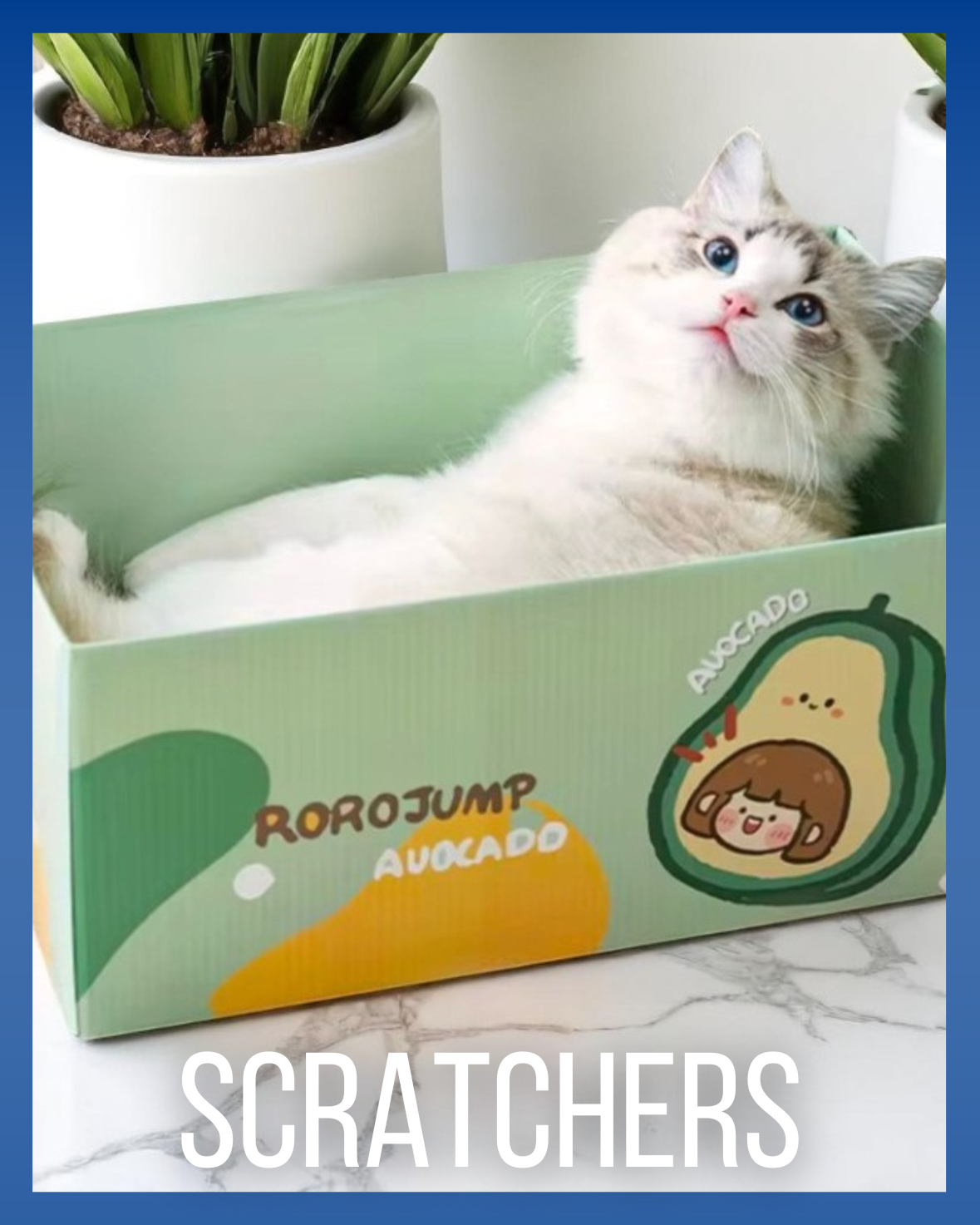 SCRATCHERS